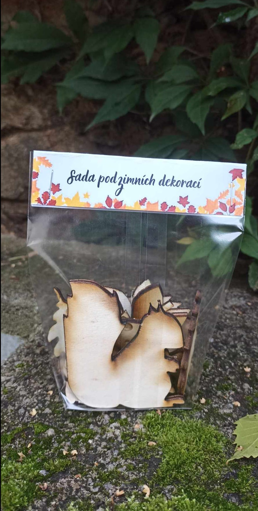 Sada podzimních dekorací