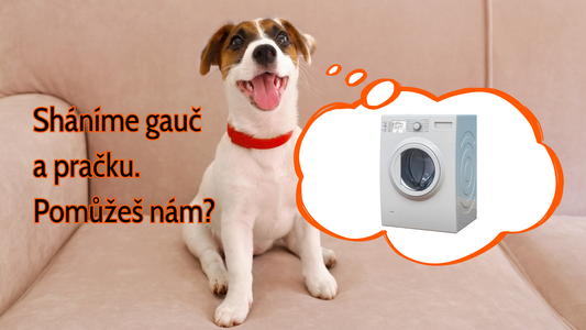 Sháníme gauč a pračku