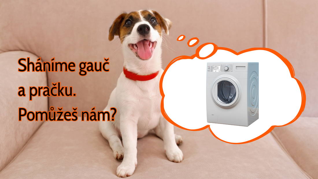 Sháníme gauč a pračku